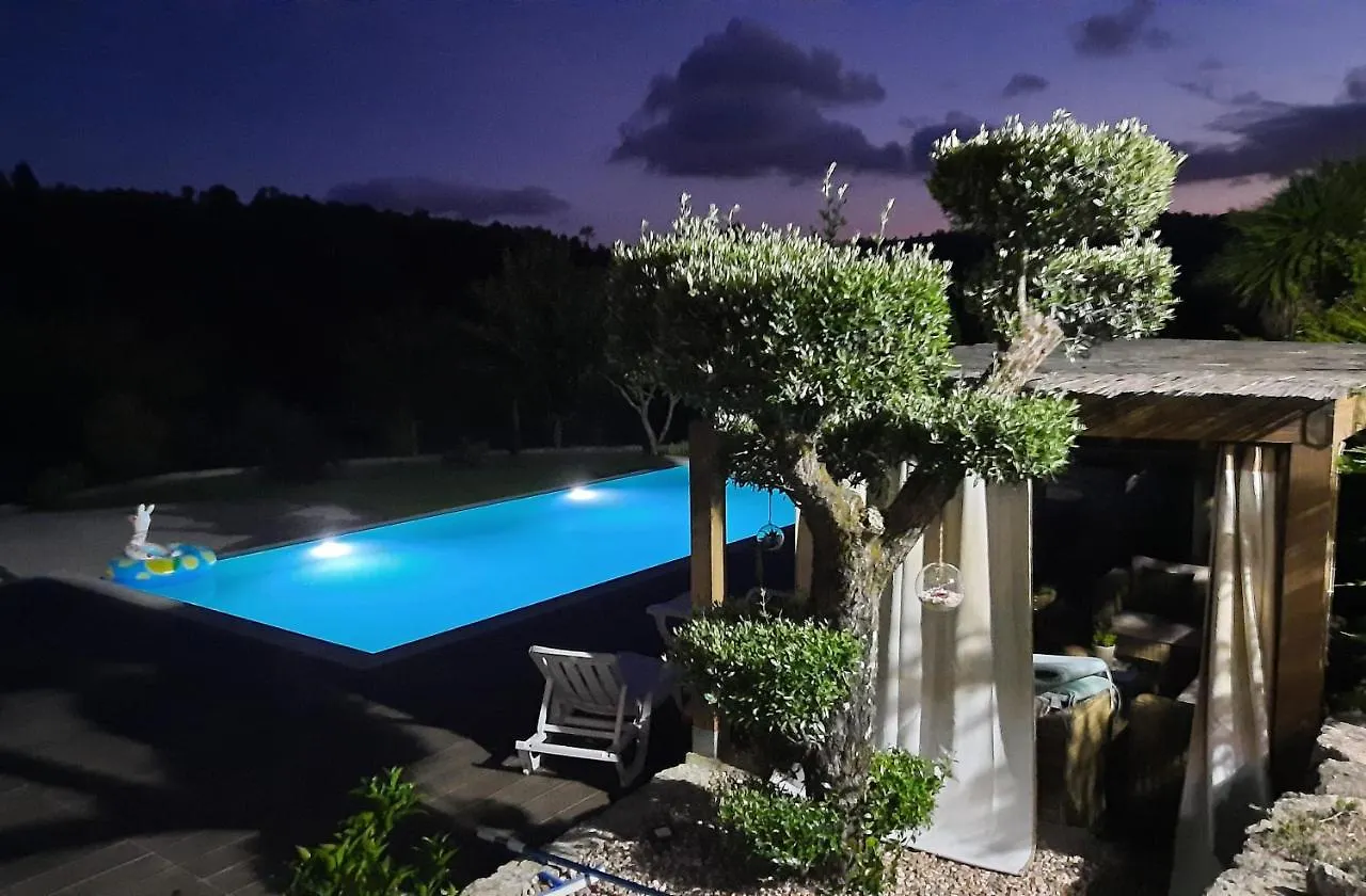 Villa Quinta Das Regueiras Viseu